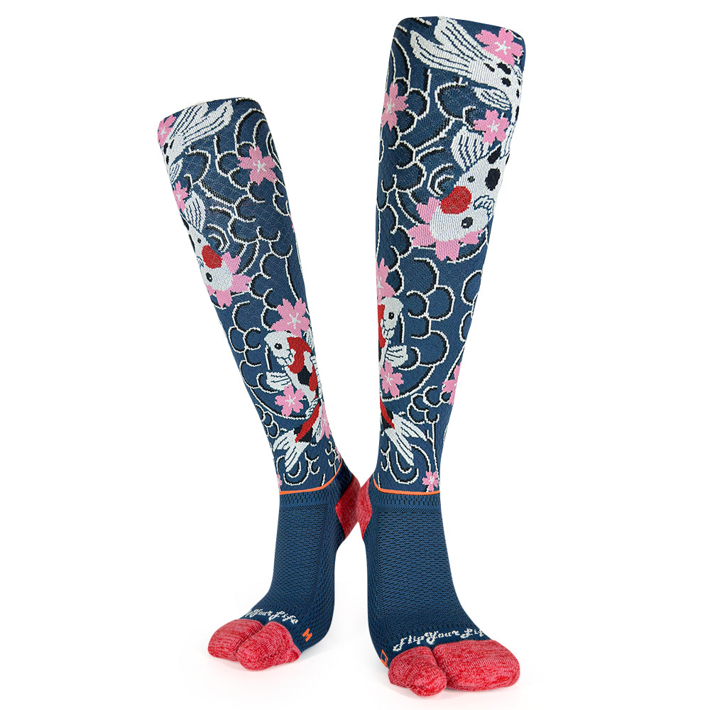 Koinobori 鯉躍龍門