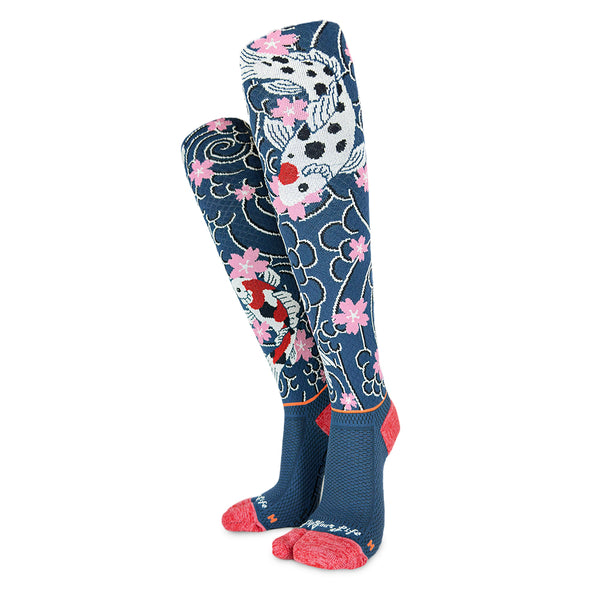 Koinobori 鯉躍龍門